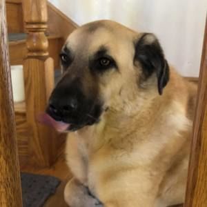 Meet your Posher, Terri